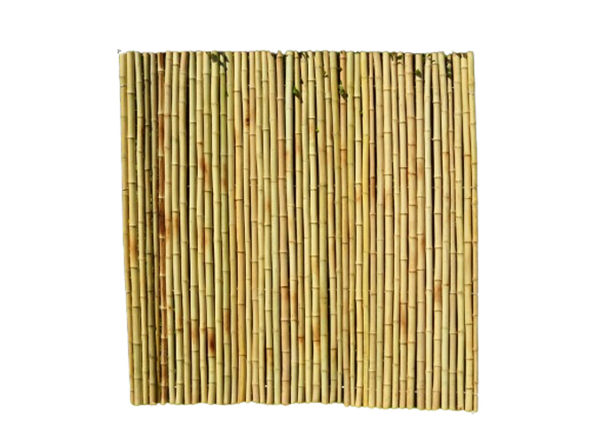 Bamboo panels and Fencing