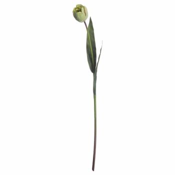 Tulip Artificial Flower - Plastic - L8 x W8 x H50 cm - Green