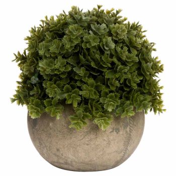 Miniature Hebe Veronica in Pot Artificial Plant - L13 x W13 x H13 cm