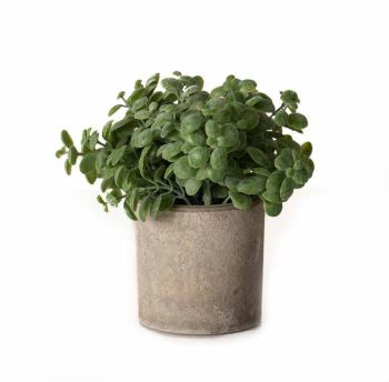 Basil Plant in Stone Effect Pot Artificial Plant - Plastic - L16 x W16 x H15 cm - Green