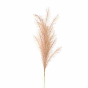 Large Faux Pampas Grass Stem Artificial Plant - Fabric/Plastic - L30 x W30 x H120 cm