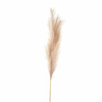 Bleached Large Faux Pampas Grass Stem Artificial Plant - Fabric/Plastic - L30 x W30 x H120 cm - White