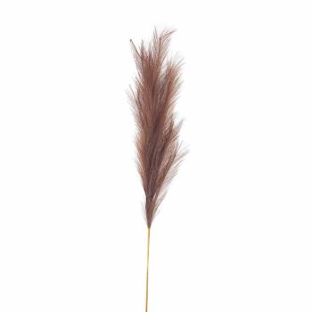 Taupe Large Faux Pampas Grass Stem Artificial Plant - Fabric/Plastic - L30 x W30 x H120 cm - Brown