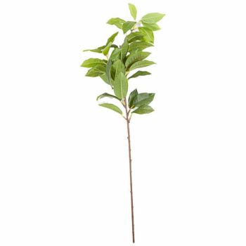 Laurel Leaf Spray Artificial Plant - Fabric/Plastic - L8 x W8 x H60 cm - Green