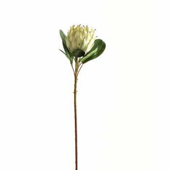 Large Protea Artificial Plant - Plastic - L21 x W21 x H73 cm - White