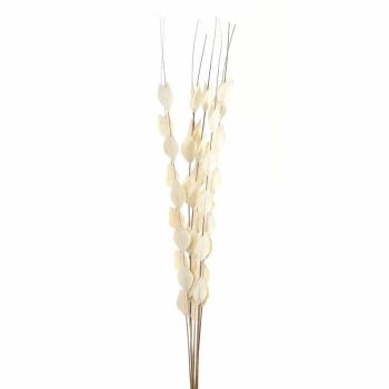 Bouquet of Dried Thlaspi Arvense Artificial Plant - L16 x W16 x H120 cm - White