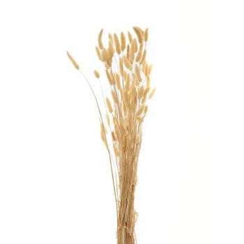 Bouquet of Tall Bunny Tails Artificial Plant - L18 x W18 x H76 cm - White