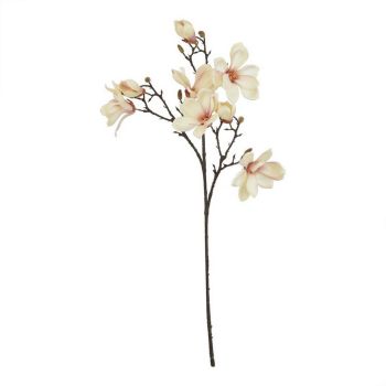 The Natural Garden Collection Pale Apricot Magnolia (Single Stem Flower) - Plastic - Height 86 cm