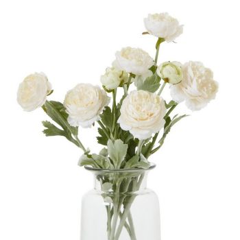 The Natural Garden Collection Apricot Ranunculus (Single Stem Flower) - Plastic - Height 50 cm - Pink