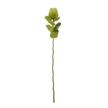 Banksia (Single Stem Flower) - Plastic - Height 59 cm - Green