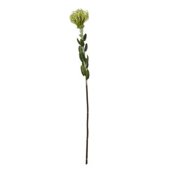 Pincushion Protea Spray (Single Stem Flower) - Plastic - Height 61 cm - Green
