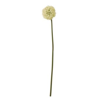 Allium (Single Stem Flower) - Plastic - Height 75 cm - Cream