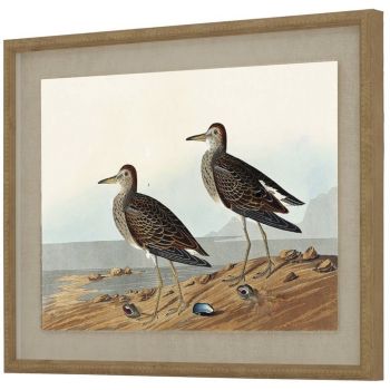 Flora & Fauna Collection Sandpipers on Linen in Beaded Frame - Glass - L2 x W40 x H50 cm - Brown