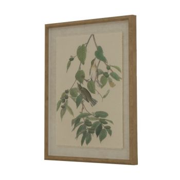 Flora & Fauna Collection Warblers on Linen in Beaded Frame - Glass - L2 x W40 x H50 cm - Brown