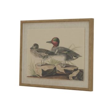 Flora & Fauna Collection Teals on Linen in Beaded Frame - Glass - L2 x W40 x H50 cm - Brown