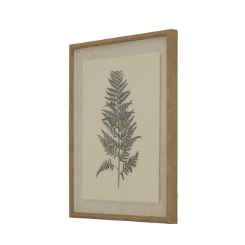 Flora & Fauna Collection Beech Fern on Linen in Beaded Frame - Glass - L2 x W40 x H50 cm - White