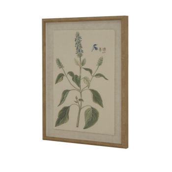 Flora & Fauna Collection Salvia on Linen in Beaded Frame - Glass - L2 x W40 x H50 cm - Brown