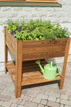 Buttercup Vegetable Bed with Four Sections and 160L Shelf Plastic Bag - Wood - L80 x W80 x H88 cm - Brown