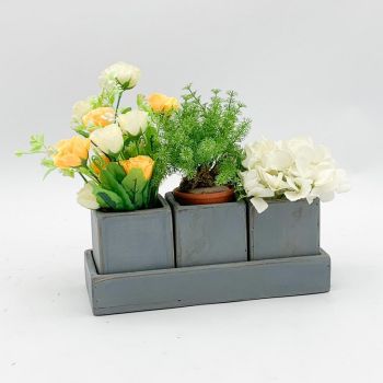 3 Planters on Tray - Wooden - L8 x W25 x H15 cm