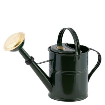 5L Watering Can - Metal - L21 x W48 x H31 cm - Green