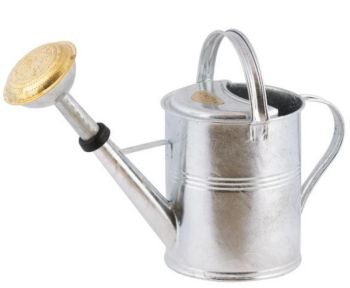 5L Watering Can - Metal - L21 x W48 x H31 cm - Zinc