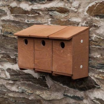 Sparrow Terrace Nest Box - Plywood - L17 x W39 x H24 cm