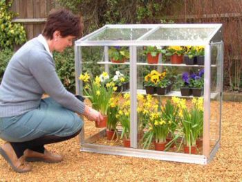 Optional Glass Back for Harlow 3 Feet 4 Inches Lean to Mini Greenhouse - Without Coating