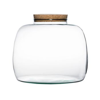 Bowl Shape Large Terrarium DIY Kit - Glass - L30 x W30 x H23 cm - Clear