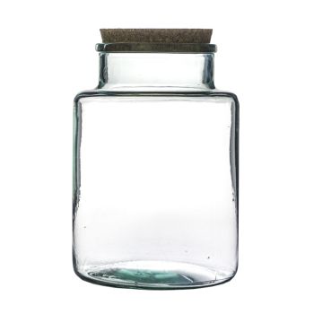 Bottle Shape Large Terrarium DIY Kit - Glass - L19 x W19 x H26.5 cm - Clear