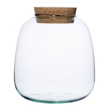 Bowl Shape Medium Terrarium DIY Kit - Glass - L19 x W19 x H22 cm - Clear