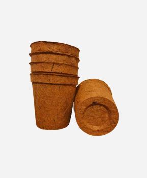 Coir Pots - Pack of 10 - Fibre/Latex - H17 cm