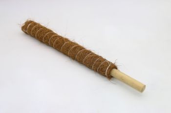 Growpoles - Fibre/Wood  - L70 x W5 x H5 cm