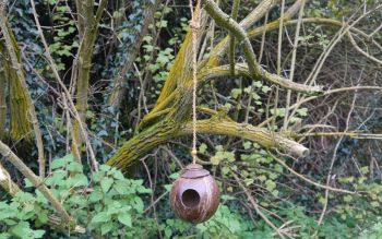 Coir Cradle Bird Nest - Coconut Shell - L25 x W25 x H12 cm