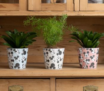 Disney Mickey Mouse Bamboo Eco Pots Set of 3