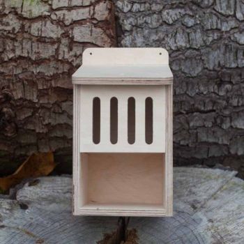 Bug Box Kit - Plywood - L15 x W13 x H23 cm