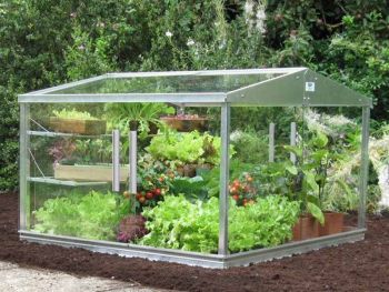 4 x 4 Feet Cold Frame - Aluminium/Glass - L121 x W121 x H82 cm - Without Coating