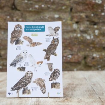 Field Guide - Owls and Owl Pellets