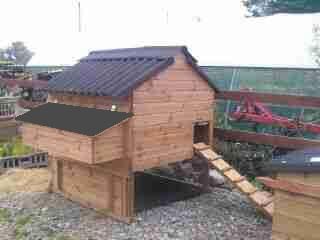 Windsor Standard Poultry House - Chicken house for up to 12 hens