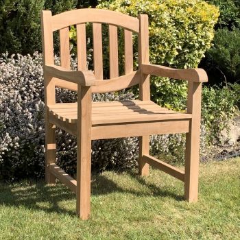 Oval Back Arm Chair - Wood - L48 x W58 x H91 cm