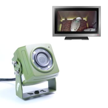 1080p HD Cable Connection Wildlife Camera for Bird Box