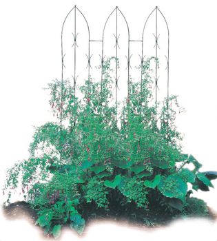 Triple Gothic Screen - Decorative Garden Screen, Plant Support - Solid Steel - W91.4 x H180 cm - Black