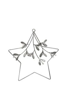 Star Mistletoe Wreath - Glass/Metal - L31 x W1.5 x H31 cm - Galvanised