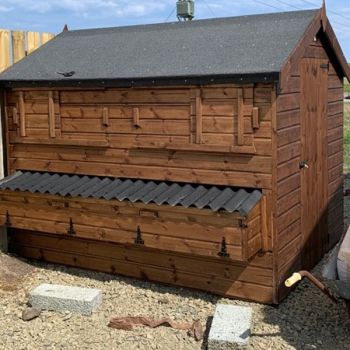 Buttercup Large Poultry Shed for chickens or ducks with Nestboxes for up to 50 chickens