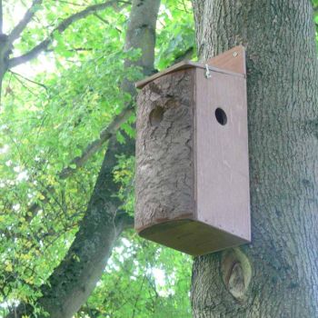 Red Squirrel Nest Box - Plywood - L20 x W15 x H50 cm