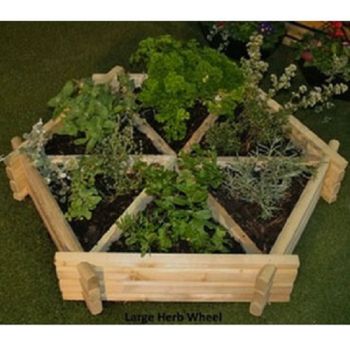 Medium Herb Wheel / Planter - Timber