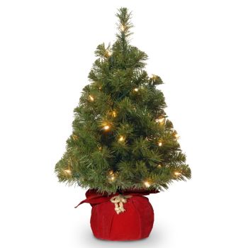 2 Feet Noble Spruce Tree in Red Cloth Bag