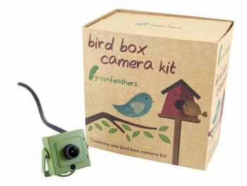 Green Feathers 8MP 4K Wired Bird Box Camera