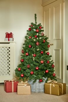 10 Feet North Valley Spruce Hinged Tree