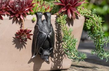 Bat Plant Pot Hanger - L11 x W5.5 x H4.5 cm