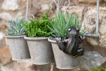 Frog Plant Pot Hanger